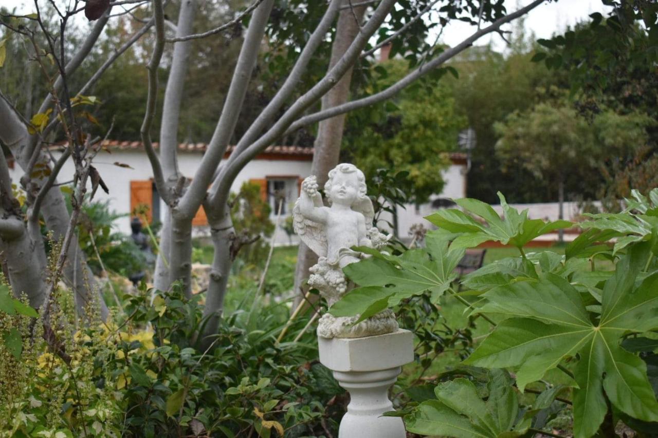 L'Oranger - Magnifique Studio Independant Sur Mougins Avec Jacuzzi Prive - Parking - Climatisation ภายนอก รูปภาพ
